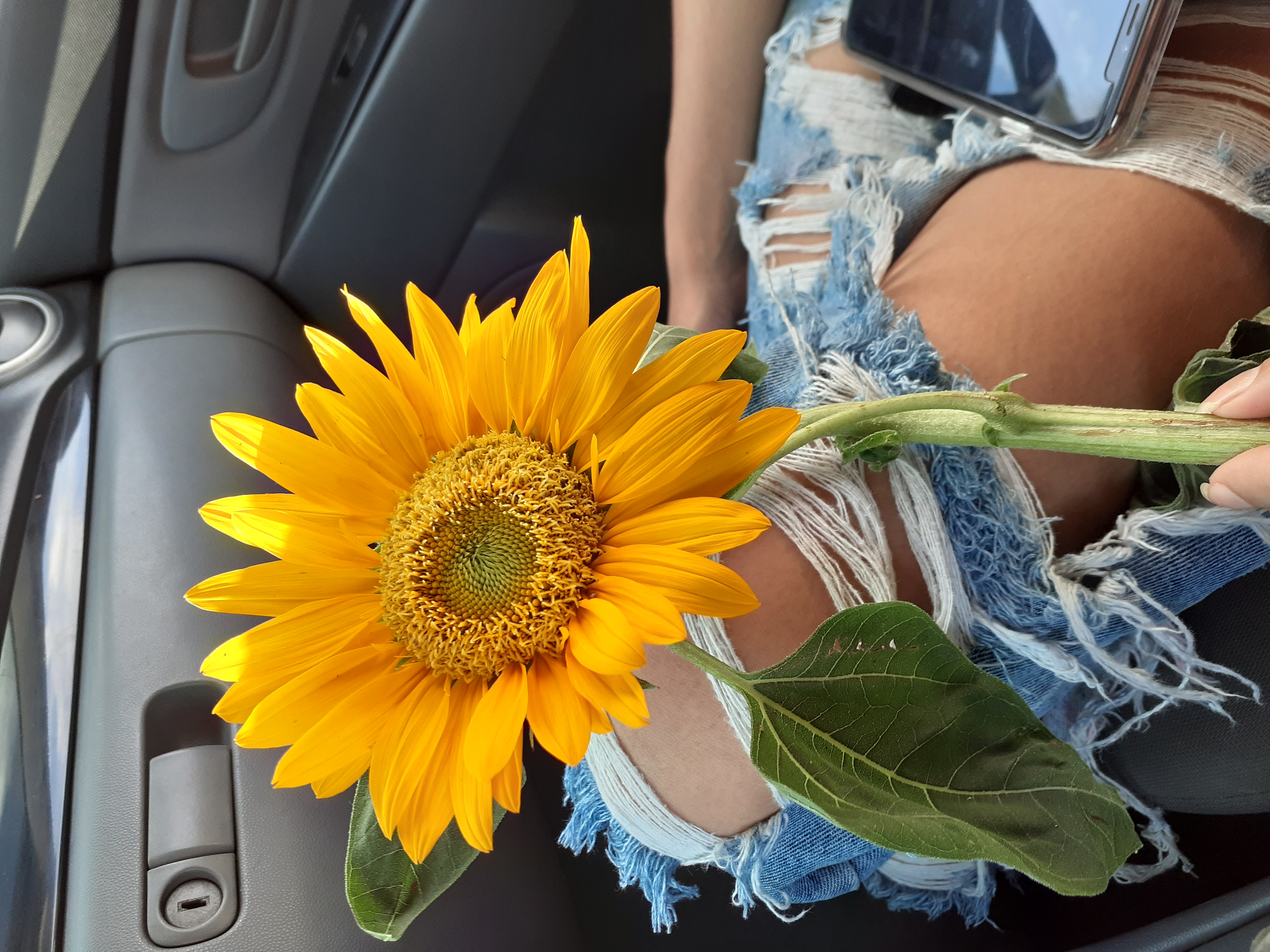 bg_20260202_125445_8eab1b9d